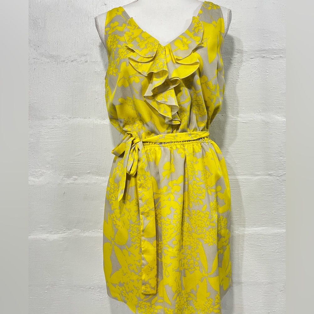 EXPRESS RUFFLE DETAIL PULLOVER DRESS - Picture 7 of 16